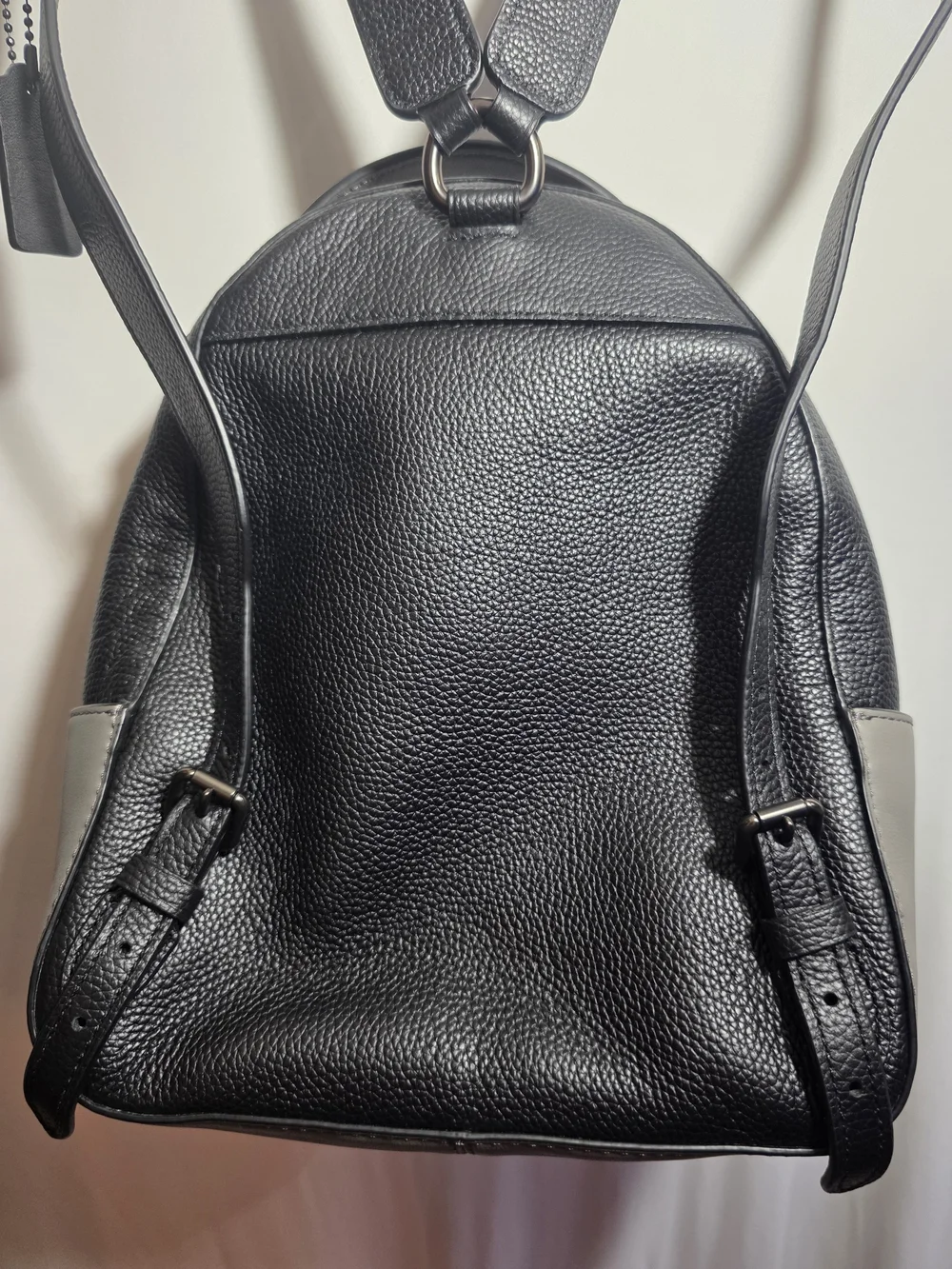 Coach Campus Backpack 23 Black Pebble Leather Gray Snakeskin Mini Backpack 2019